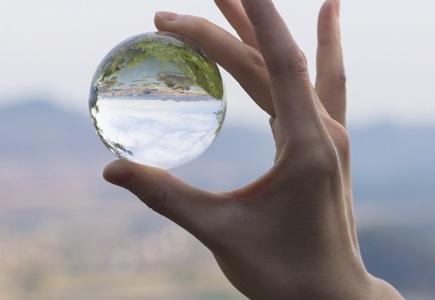 Transparency